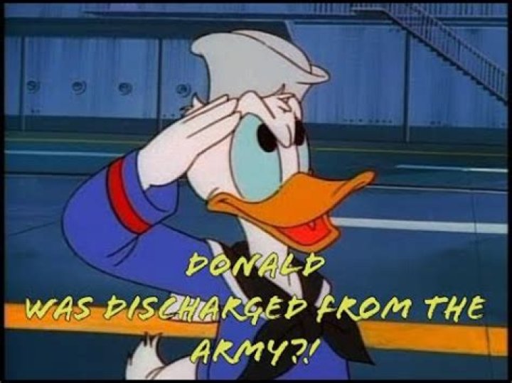 Is Donald Duck in the Navy? – Celebrity