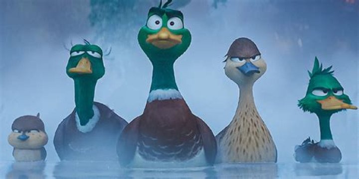 What are the birds names in Cinderella? – Celebrity